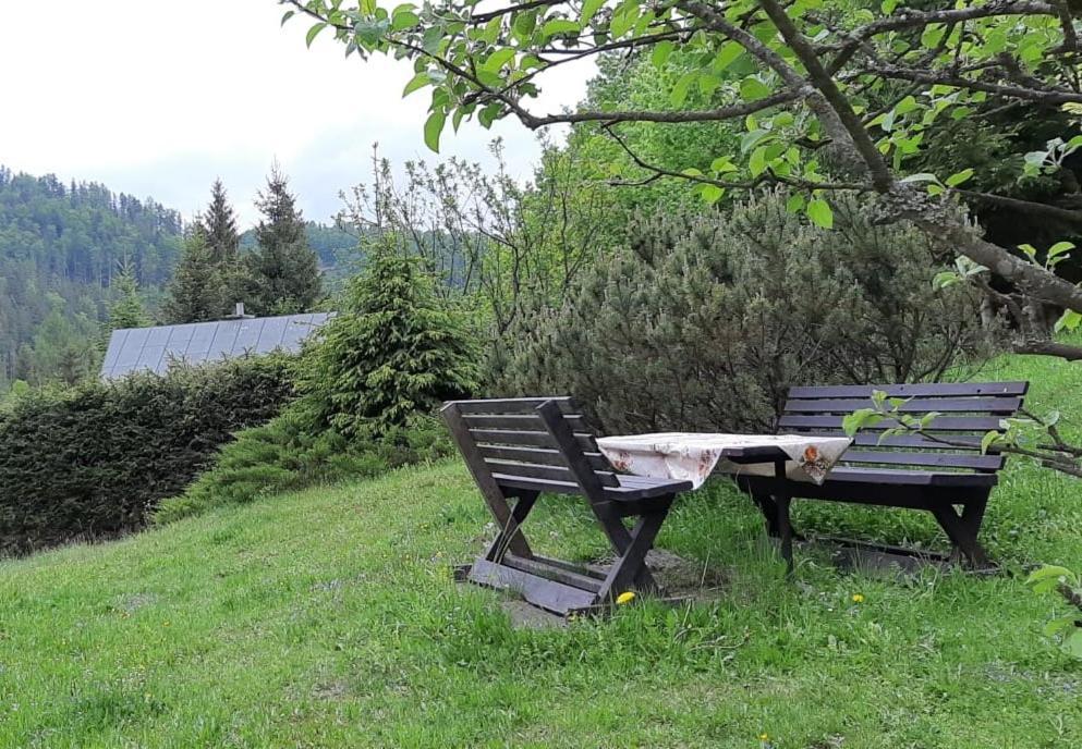 Fleurs De Myto Villa Mýto pod Ďumbierom Exterior foto