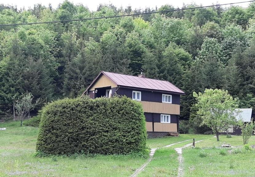 Fleurs De Myto Villa Mýto pod Ďumbierom Exterior foto